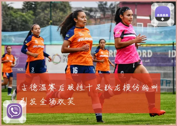 古德温赛后狼性十足狄龙模仿狗叫引发全场欢笑