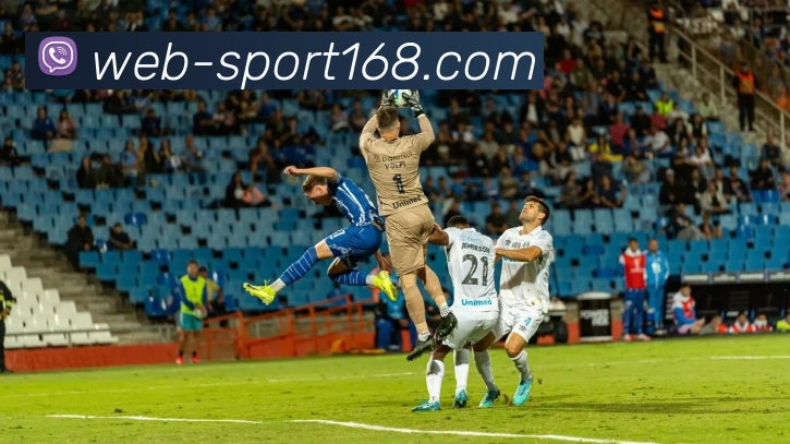 多媒体互动体验